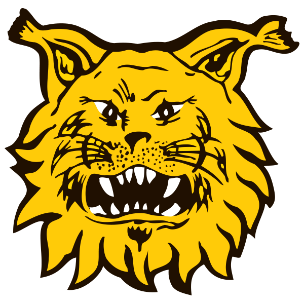 Ilves