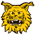 600x600px_0004_Ilves_logo.png.125x125_q85.png